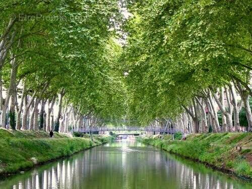 Photo 1 - Appartement à TOULOUSE