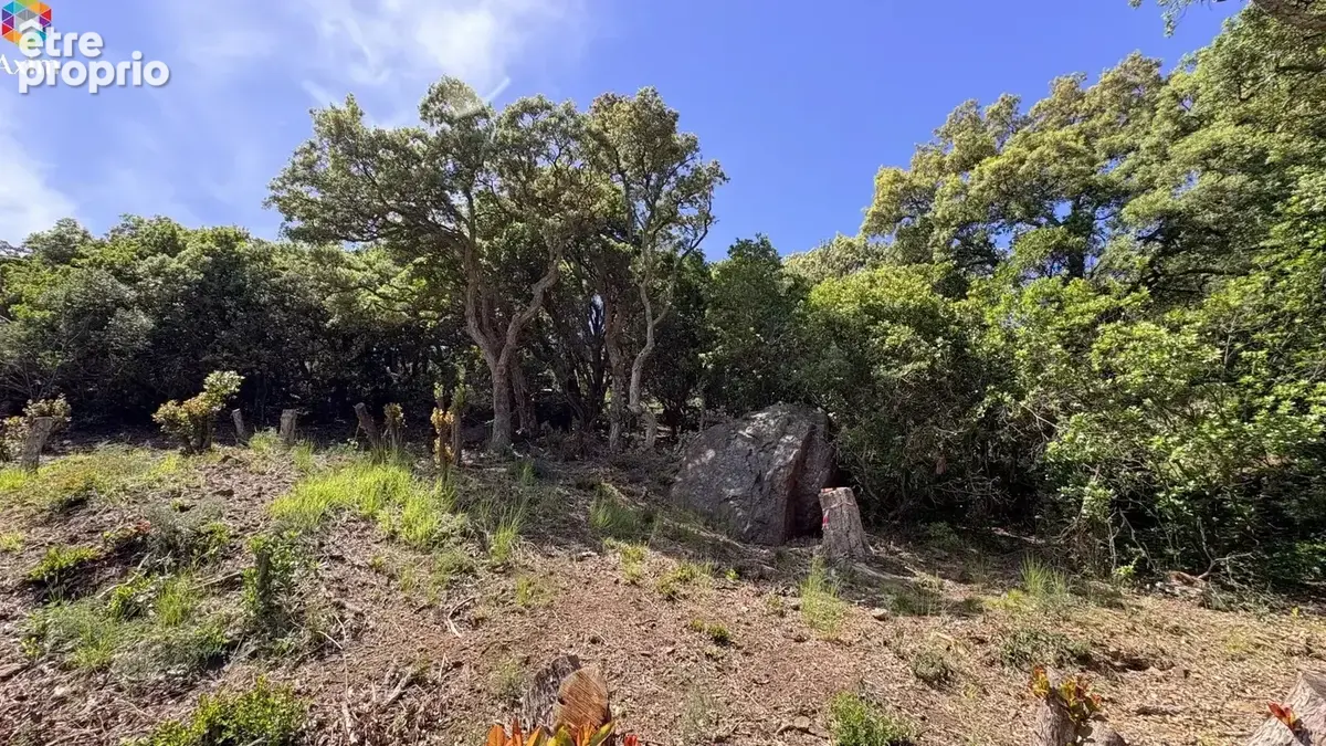 Terrain 1 356 m² à vendre à La Seyne-Sur-Mer (83530) - photo 6