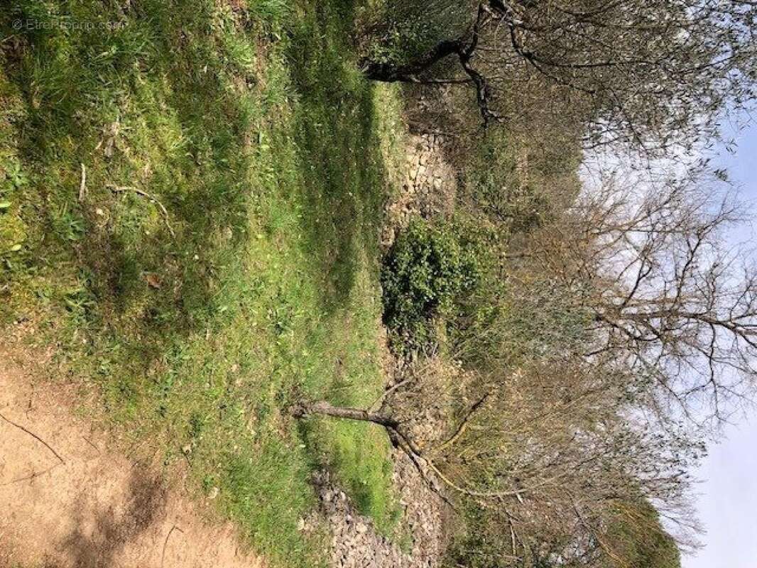 Photo 2 - Terrain à BRIGNOLES
