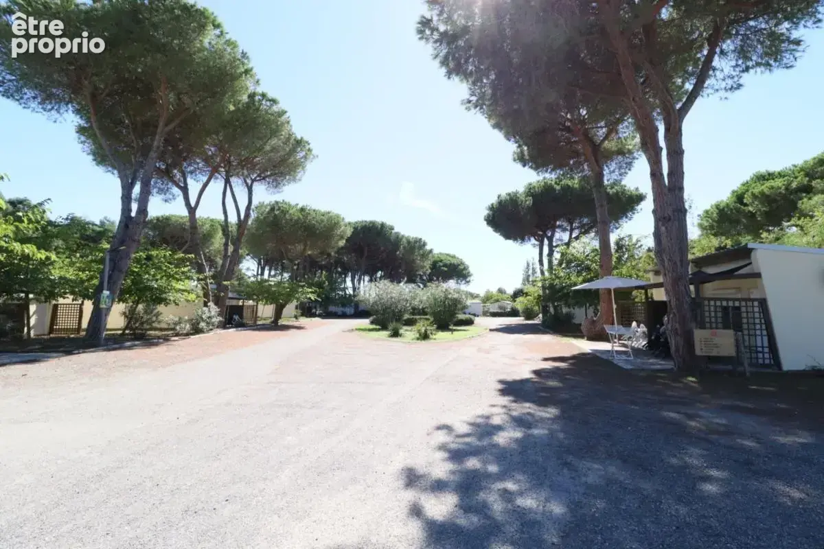 Corse, Bungalow au bord de la mer, CASTELLARE DI CASINCA (2b) - photo 11
