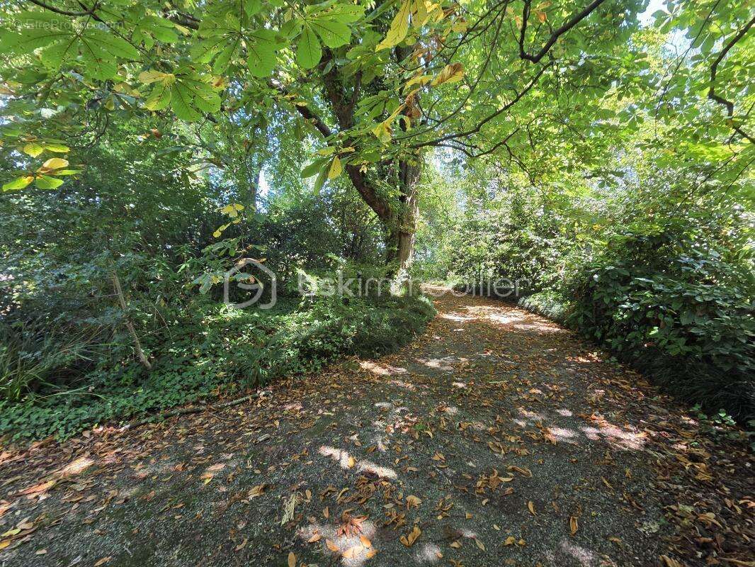Maison à SALIES-DE-BEARN