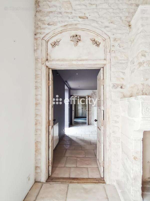 Maison 250 m² à Chambon  - photo 7
