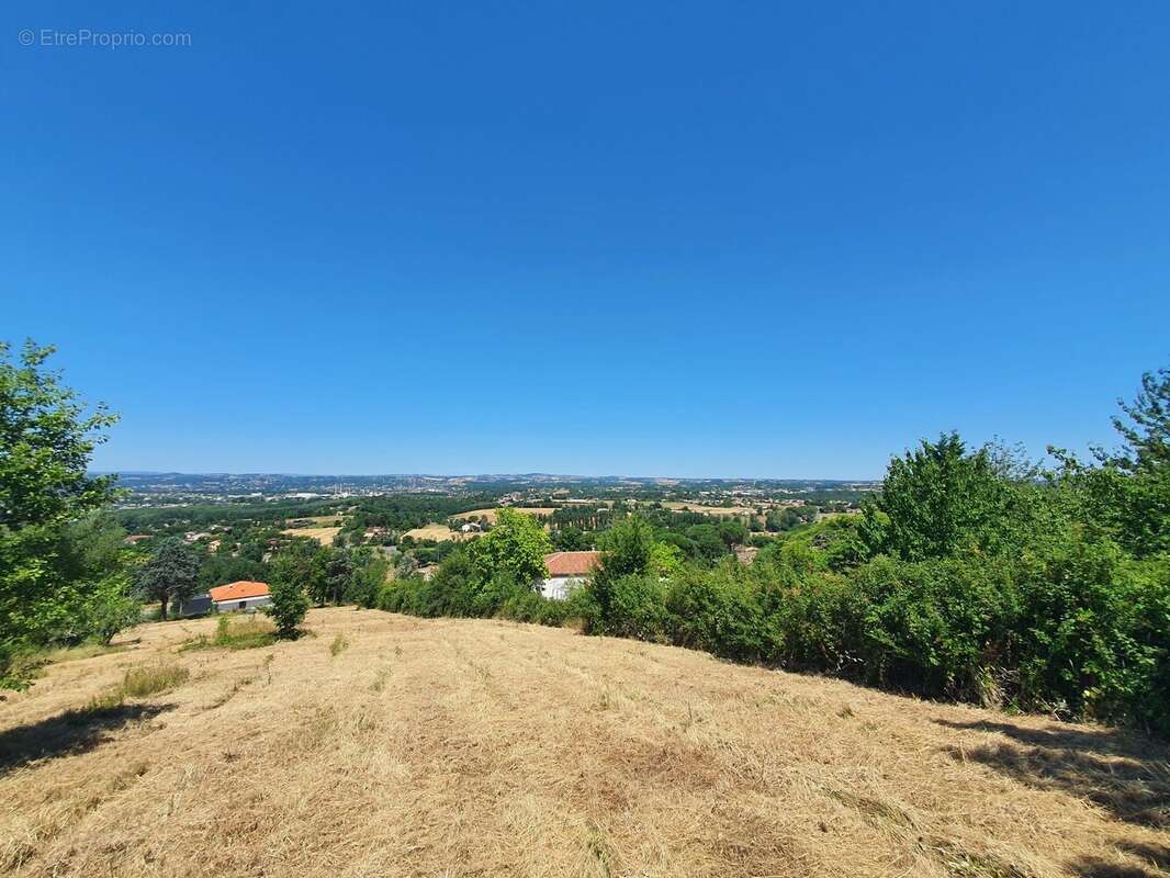 Terrain 3012 m² à Albi  - photo 2