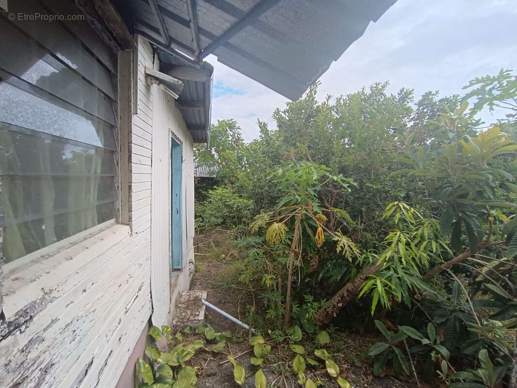 Terrain à SAINT-JOSEPH