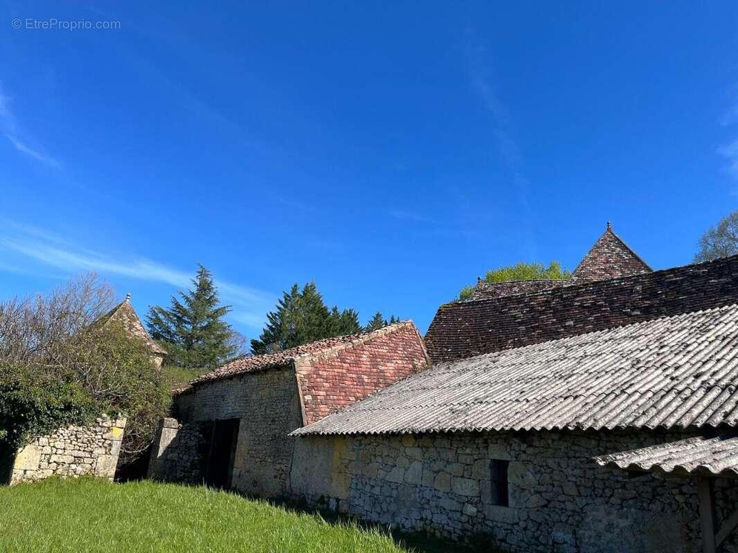 IMG_8391 2.jpeg - Maison à SAINT-AVIT-SENIEUR