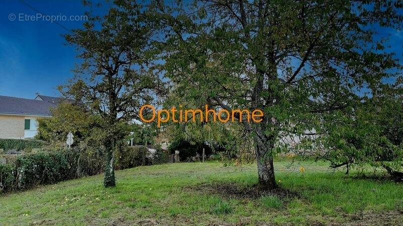 Terrain à MESSINCOURT