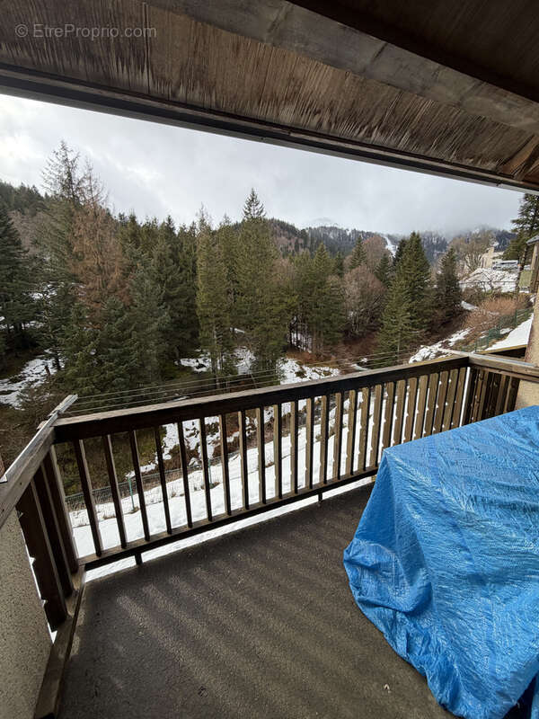 Appartement à LAVEISSIERE