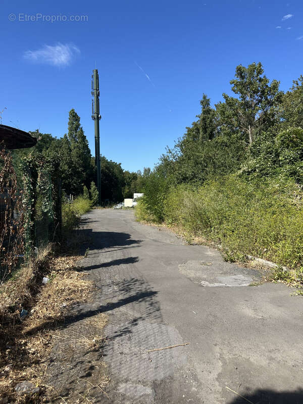 EXCLUSIVITE-COURRIERES-TERRAIN pour stockage avec revenus locatifs - photo 4