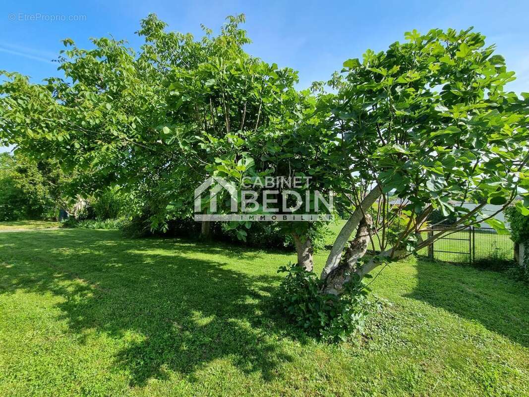 Maison à SAINTE-FOY-D&#039;AIGREFEUILLE