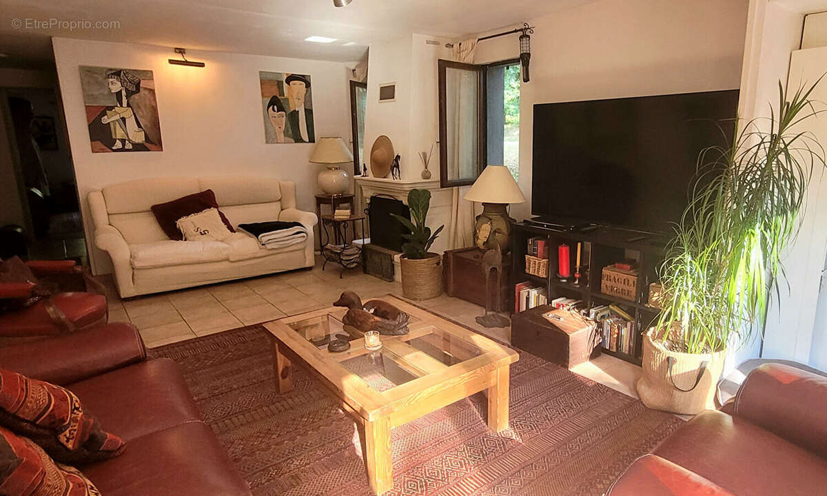 Maison 317m² à la bâtie-montgascon - photo 4