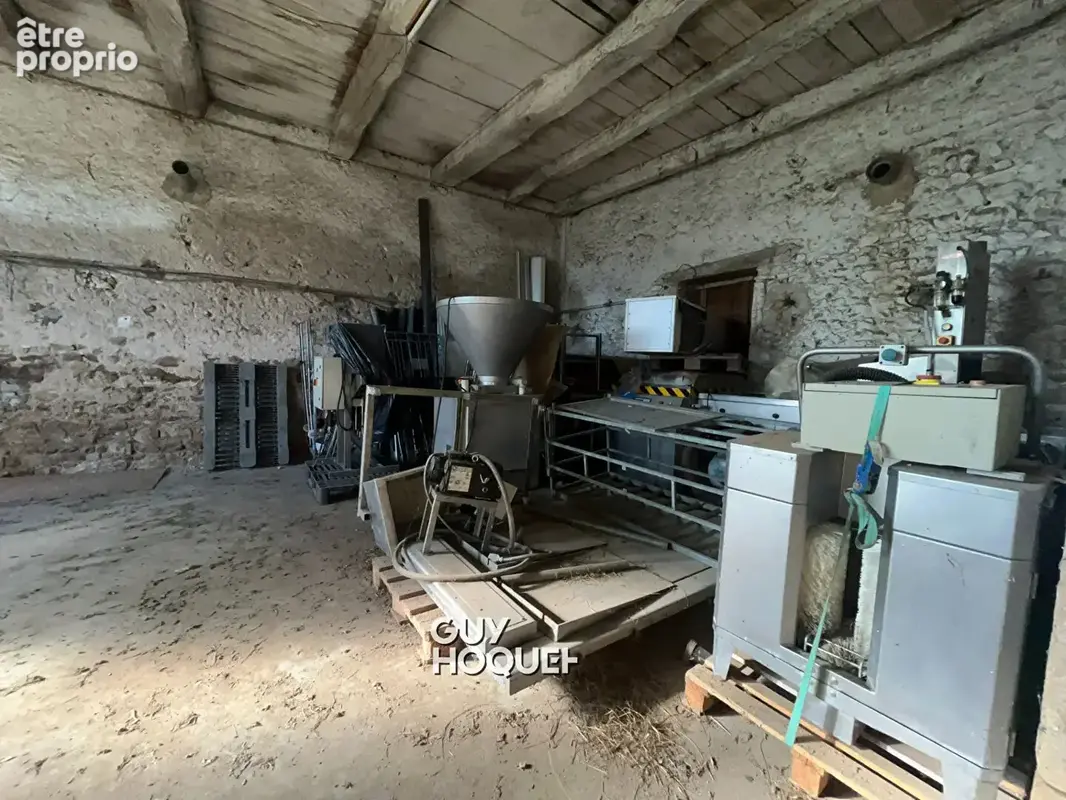 Entre chassenard et molinet - bel ensemble à fort potentiel avec terrain ! - photo 4