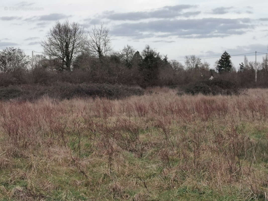 Maison à CHATRES-SUR-CHER