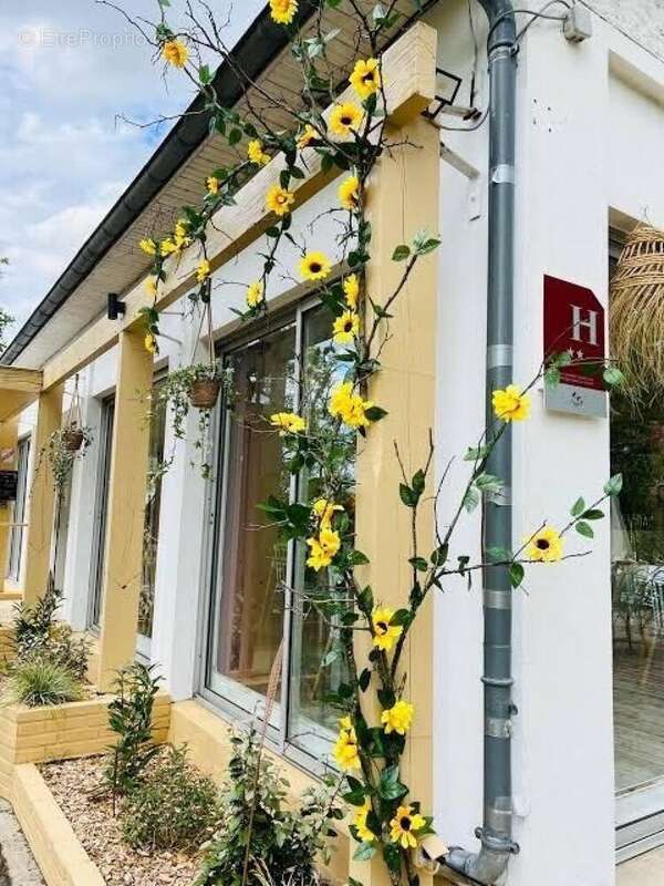 Commerce 405 m² à Mesves-Sur-Loire  - photo 6