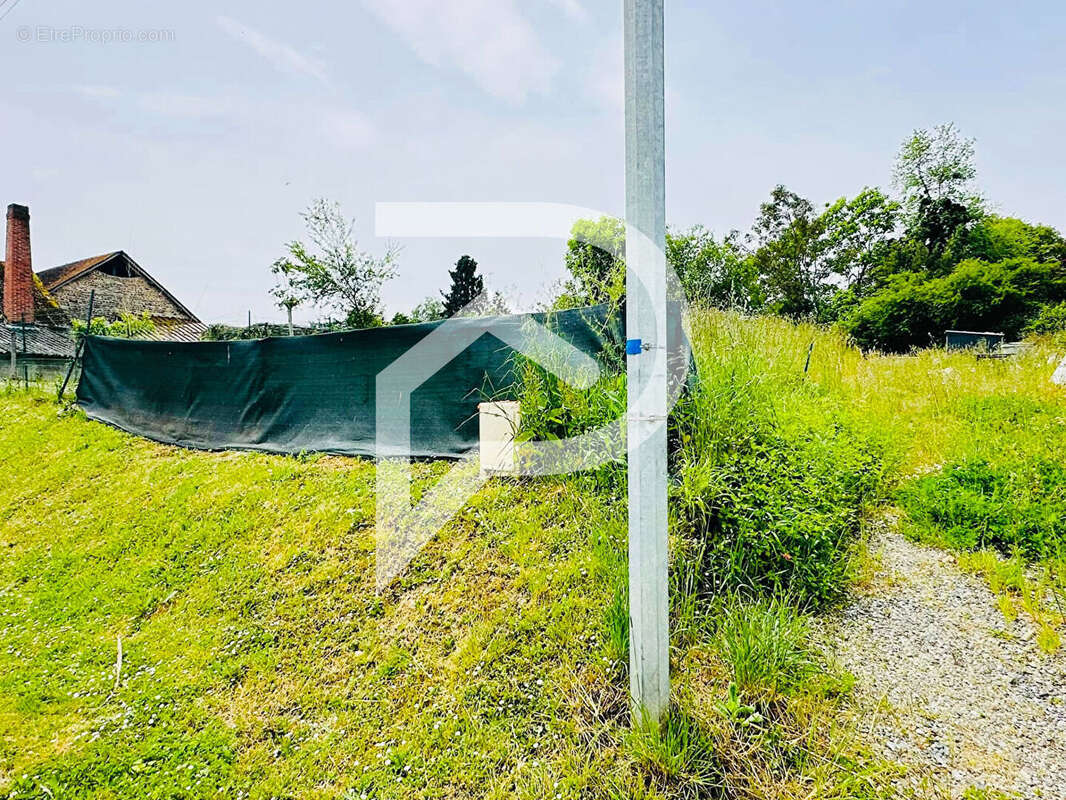 Terrain à VIELLESEGURE