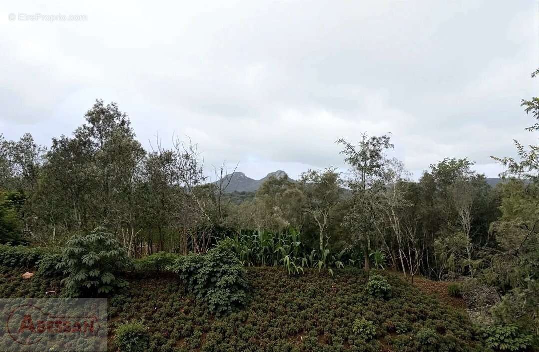 Terrain à MONOBLET