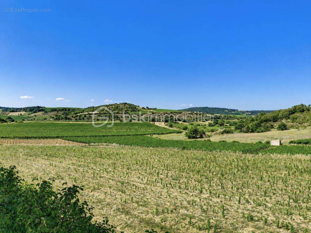 Terrain constructible 1 600 m² + 8 575 m² de terrain naturel – Proche Limoux - photo 4