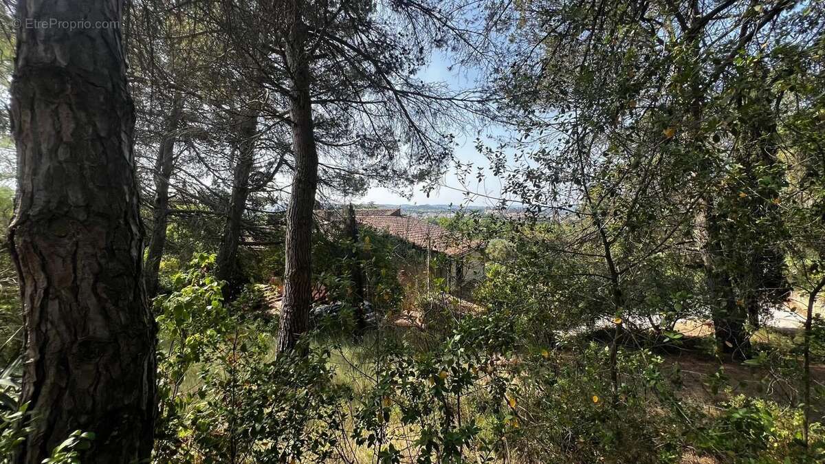 Maison à MARSEILLETTE