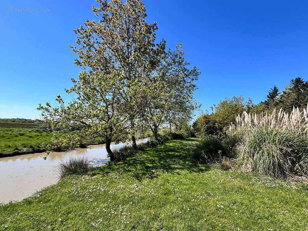 Maison à BOIS-DE-CENE