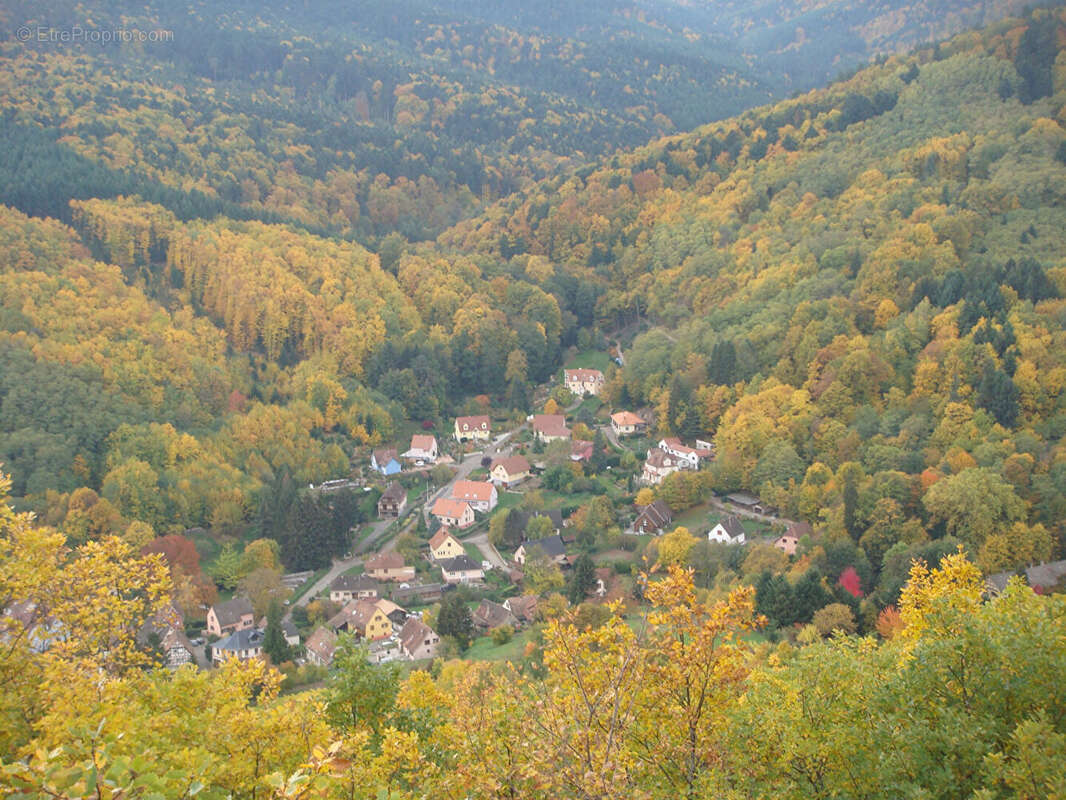 Appartement à BARR