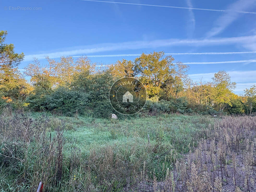 Terrain à GENNES