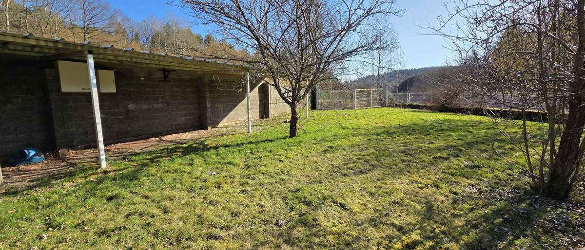 Champenay, commune de Plaine, spacieuse maison de caractère, rénovée, 192 m2, 4 chambres. - photo 5