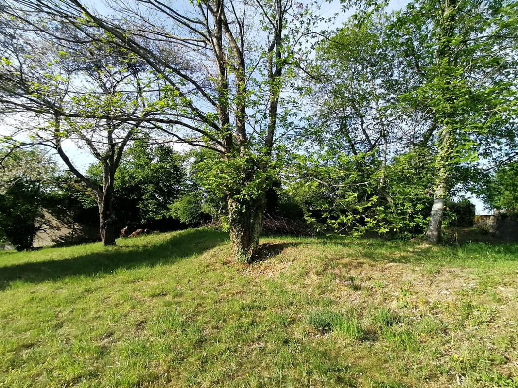 Terrain à LA SOUTERRAINE