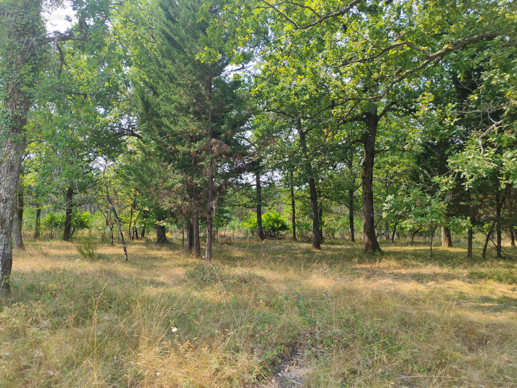 Terrain à LARUSCADE