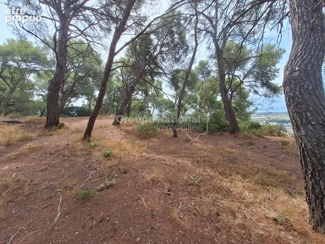 Maison 4 pièces à vendre avec vue étang à Saint-Chamas - photo 16