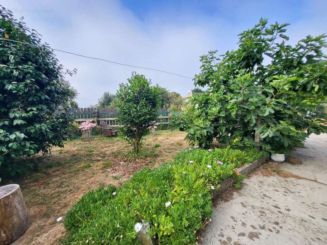Maison à vendre 4 pièces ROSCANVEL (29) - photo 26