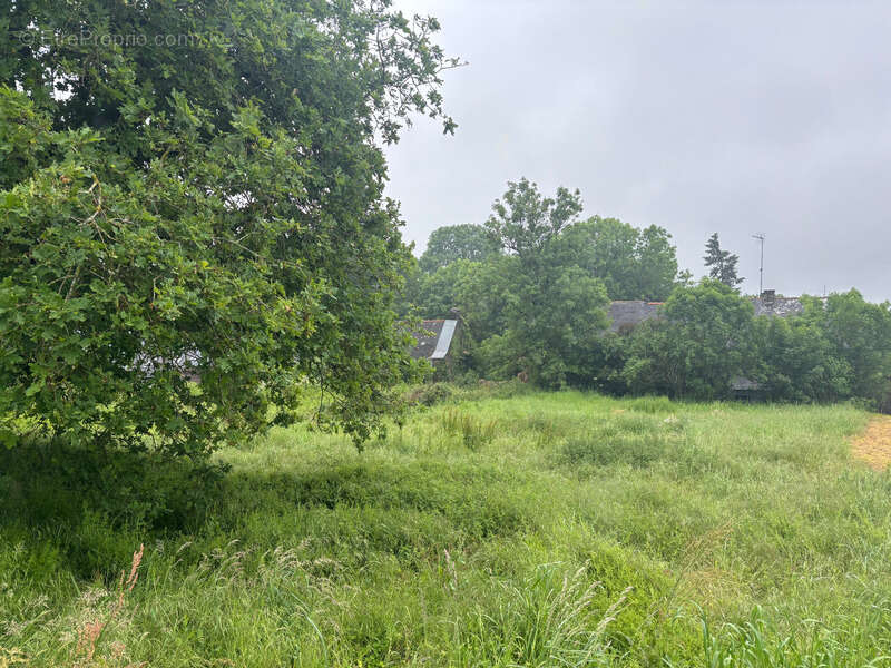 Maison à RENAC