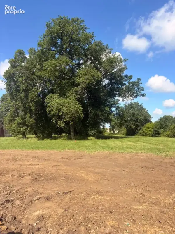 Terrain à LA LANDE-DE-FRONSAC