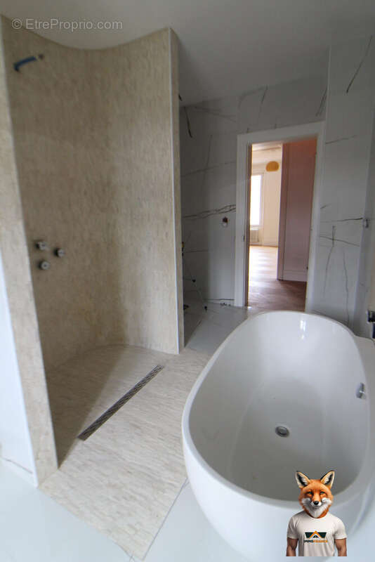 Appartement 161 m² à Belfort  - photo 9