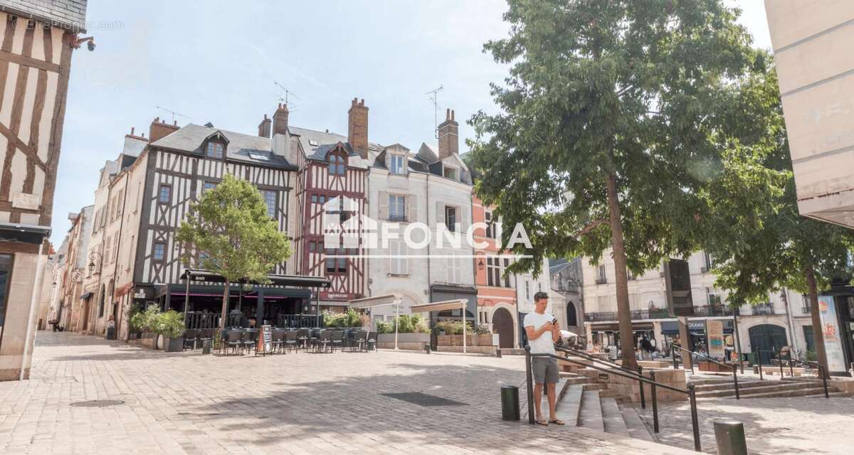 Exclusivite orleans proximite place du chatelet - photo 12