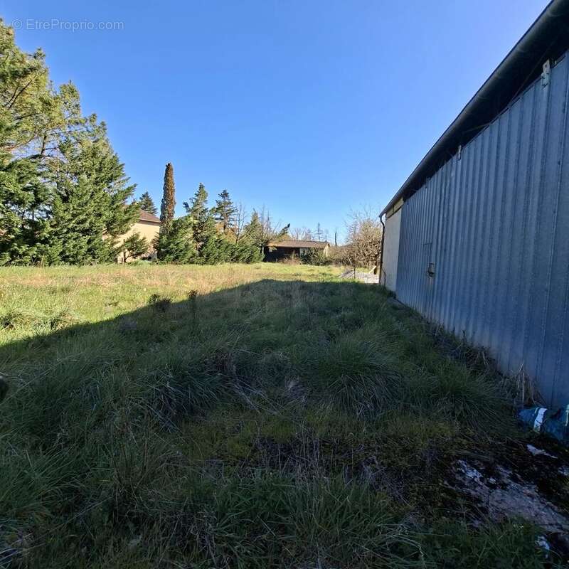 Commerce à MONTDRAGON