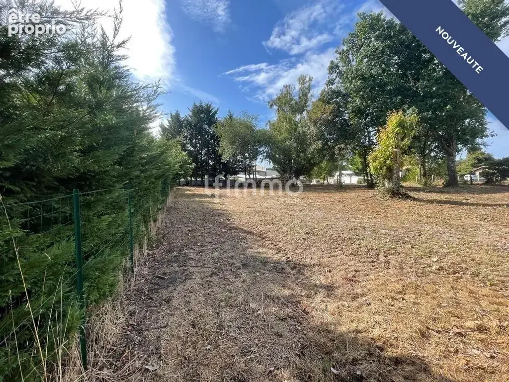 Terrain constructible 3000m² - 33140 Cadaujac - photo 2