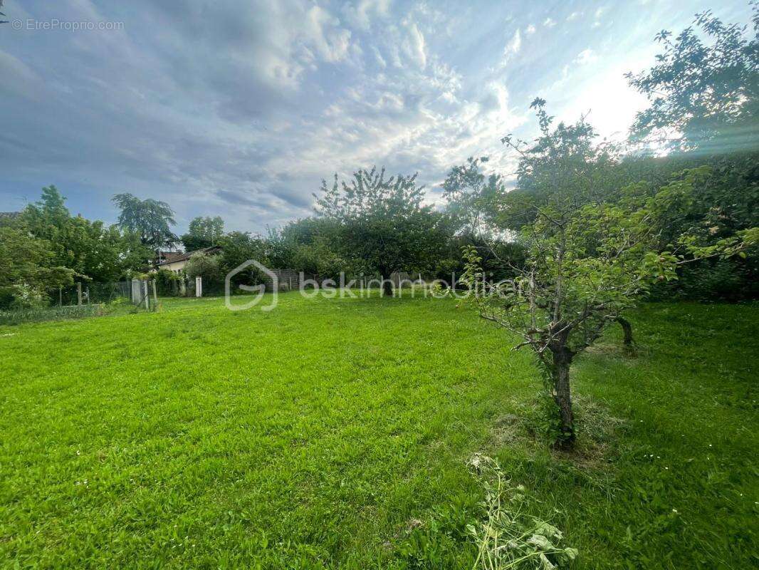 Terrain à vendre  887 m² à Blagnac - photo 4