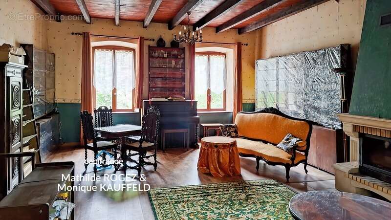 Grande demeure de charme + gîte + grand terrain - Tours-sur-Meymont - photo 4