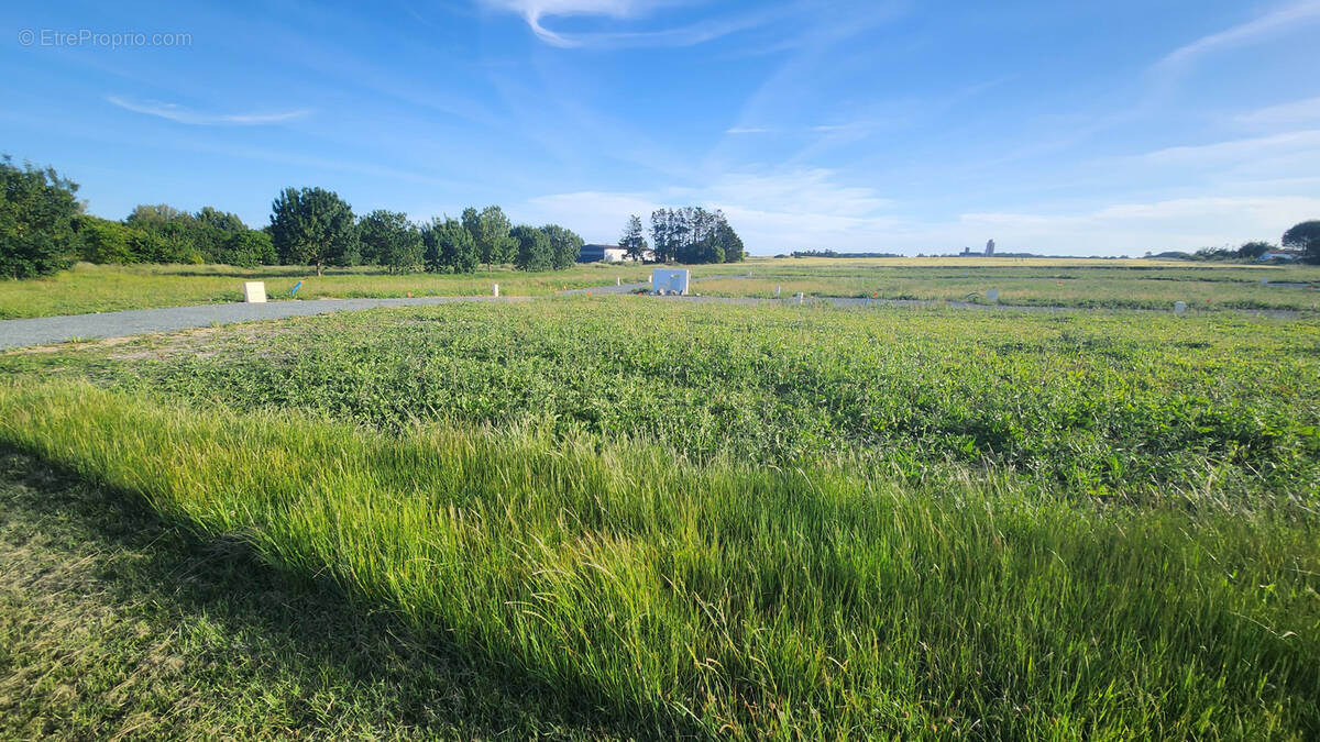 Terrain à MORNAC-SUR-SEUDRE