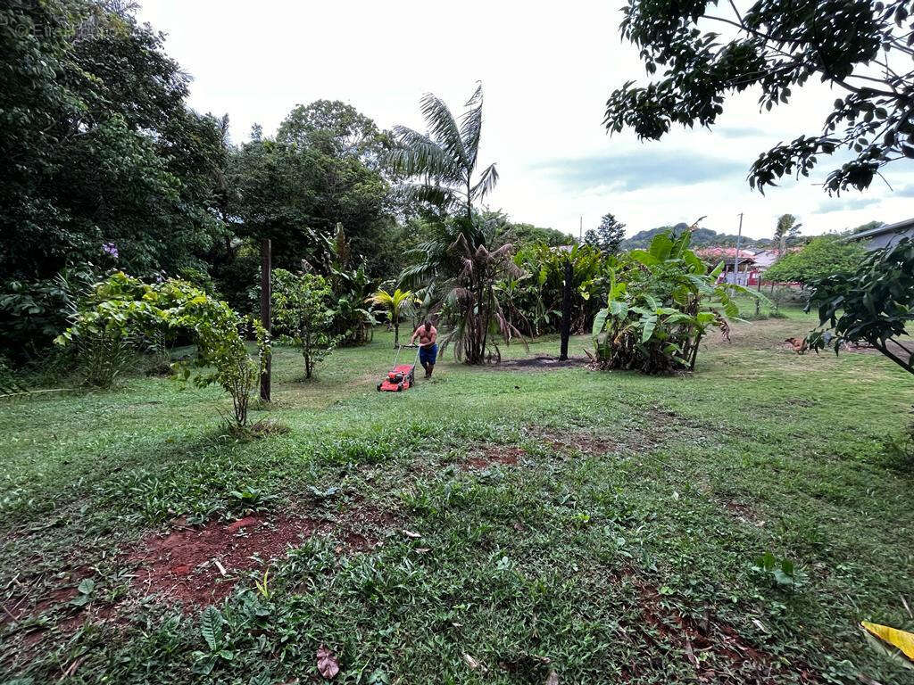 Terrain à REMIRE-MONTJOLY