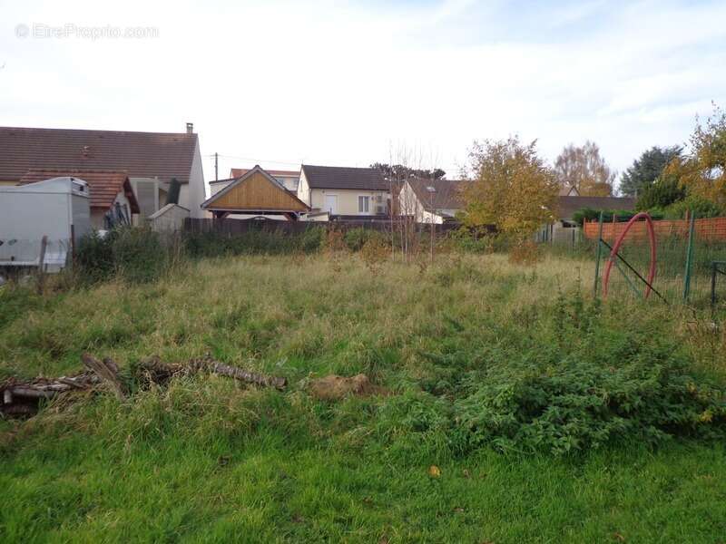 Terrain à SAINT-MARD