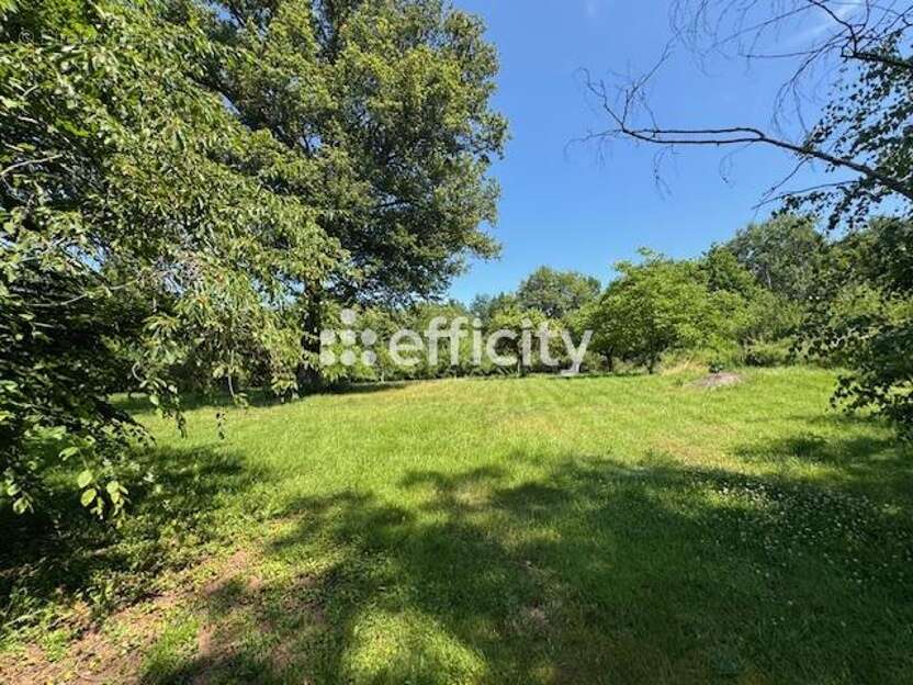 Maison à SERMENTIZON