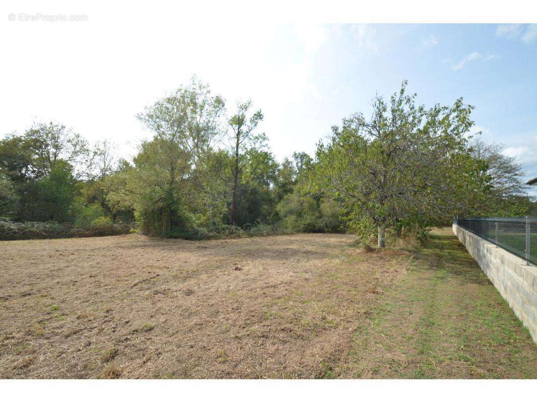 Terrain à PORCHERES