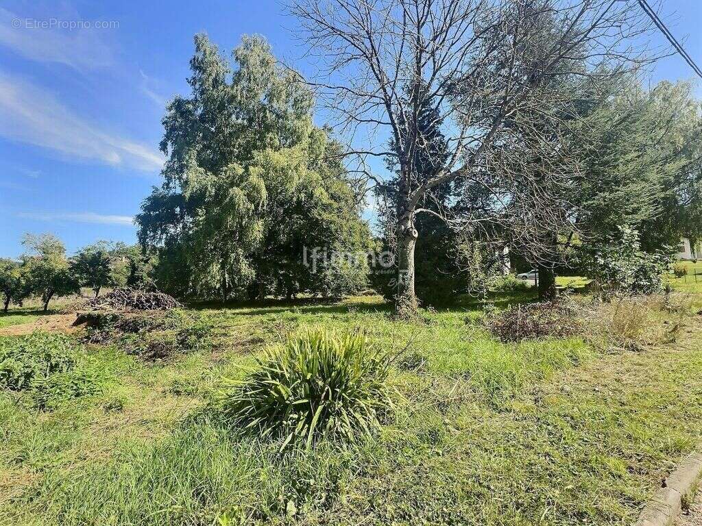 Terrain à VILLECEY-SUR-MAD