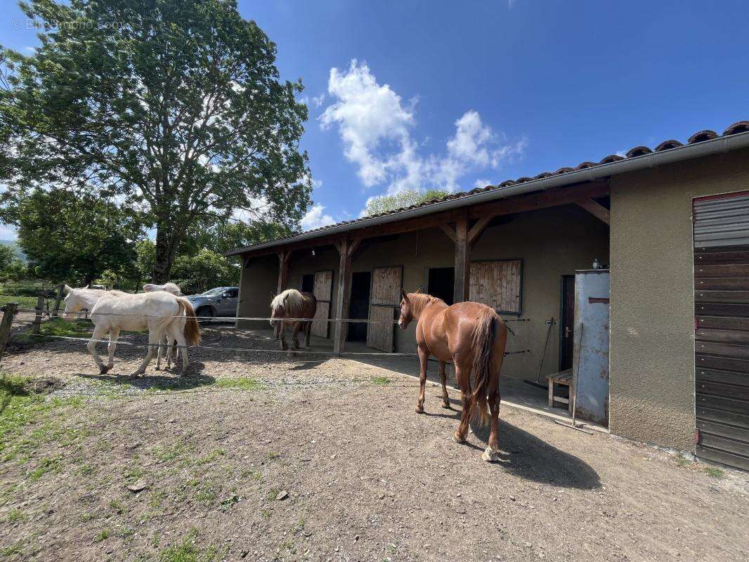 Maison à MARTRES-DE-RIVIERE