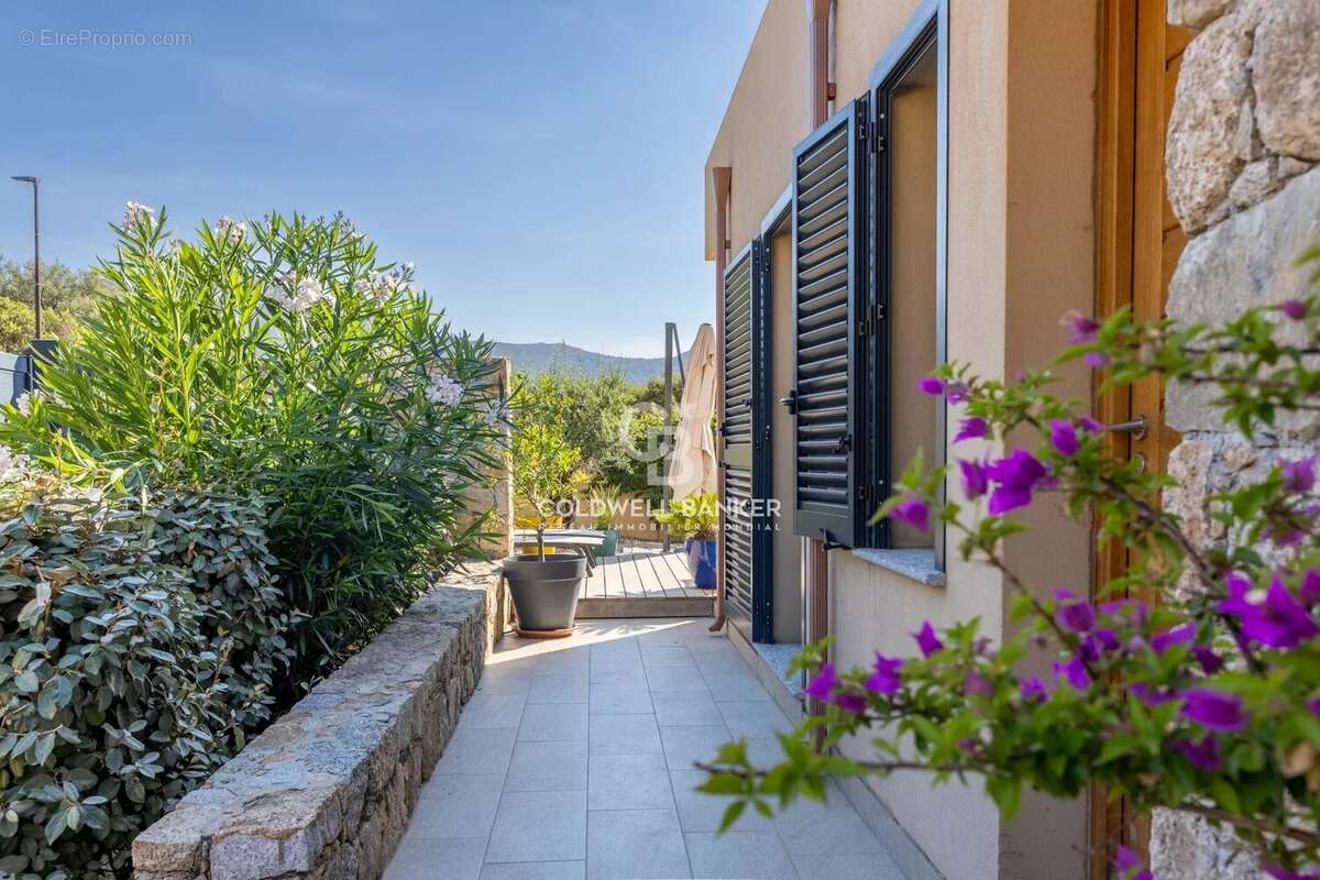 Aregno - Beau T3 vue montagne - Terrasse & jardin - photo 24