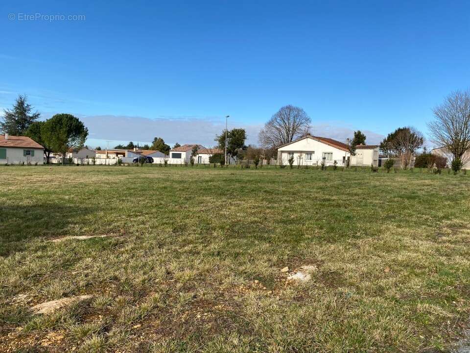 Terrain à SAINT-VAIZE