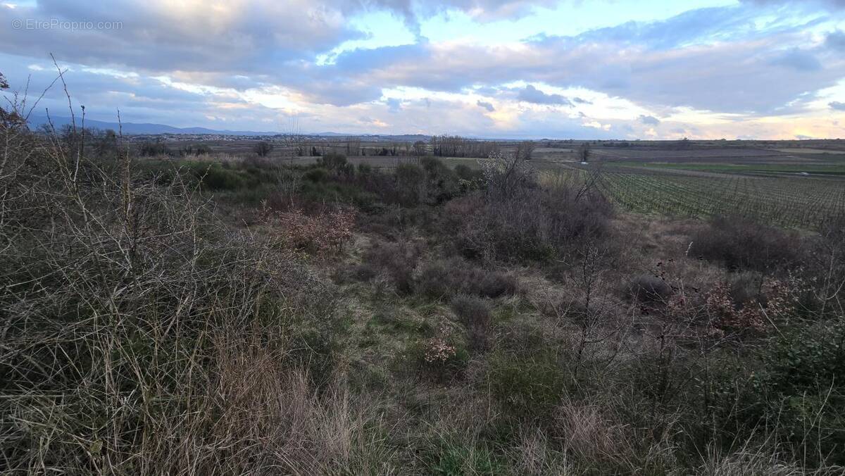 Terrain à PAILHES