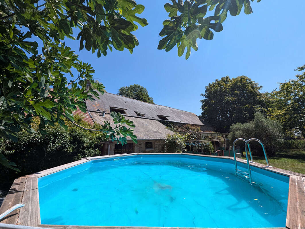Longère en pierre à vendre au Mont-Dol  5 chambres  Dépendances  Terrain arboré de 7 000 m² - photo 2