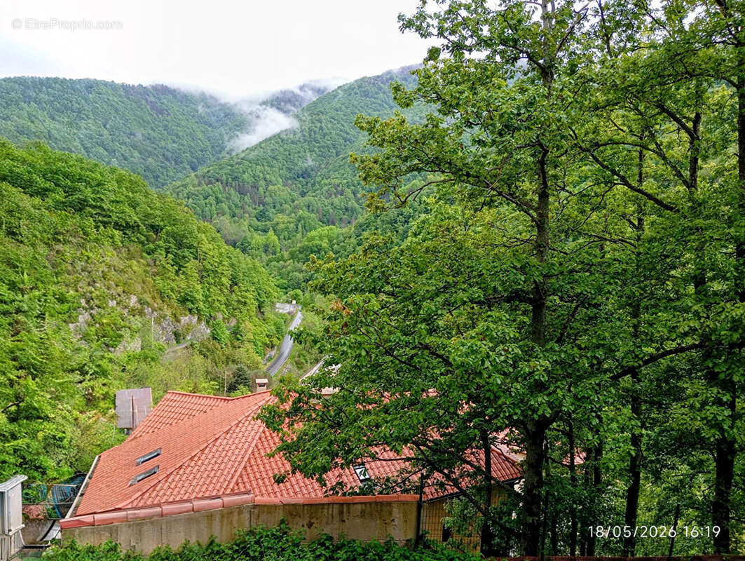 Appartement à PRATS-DE-MOLLO-LA-PRESTE