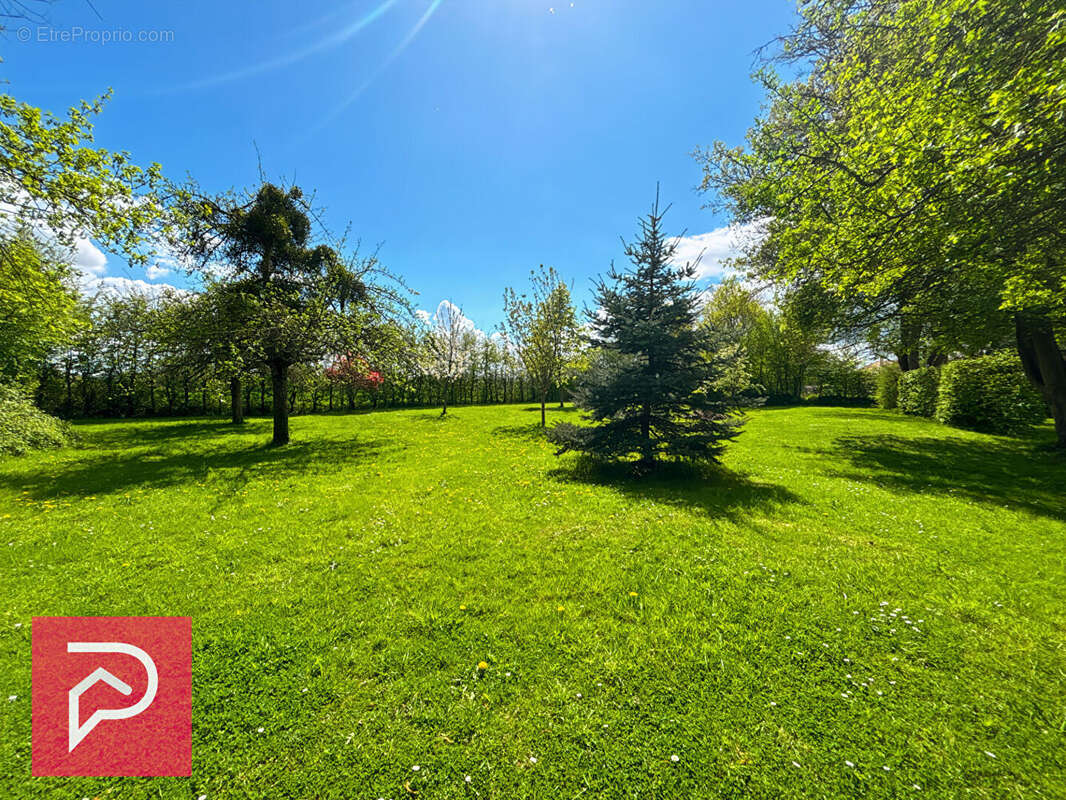 Maison à THIBERVILLE